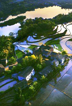 美麗農(nóng)村水處理項(xiàng)目